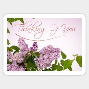 Thinking of You Sticker